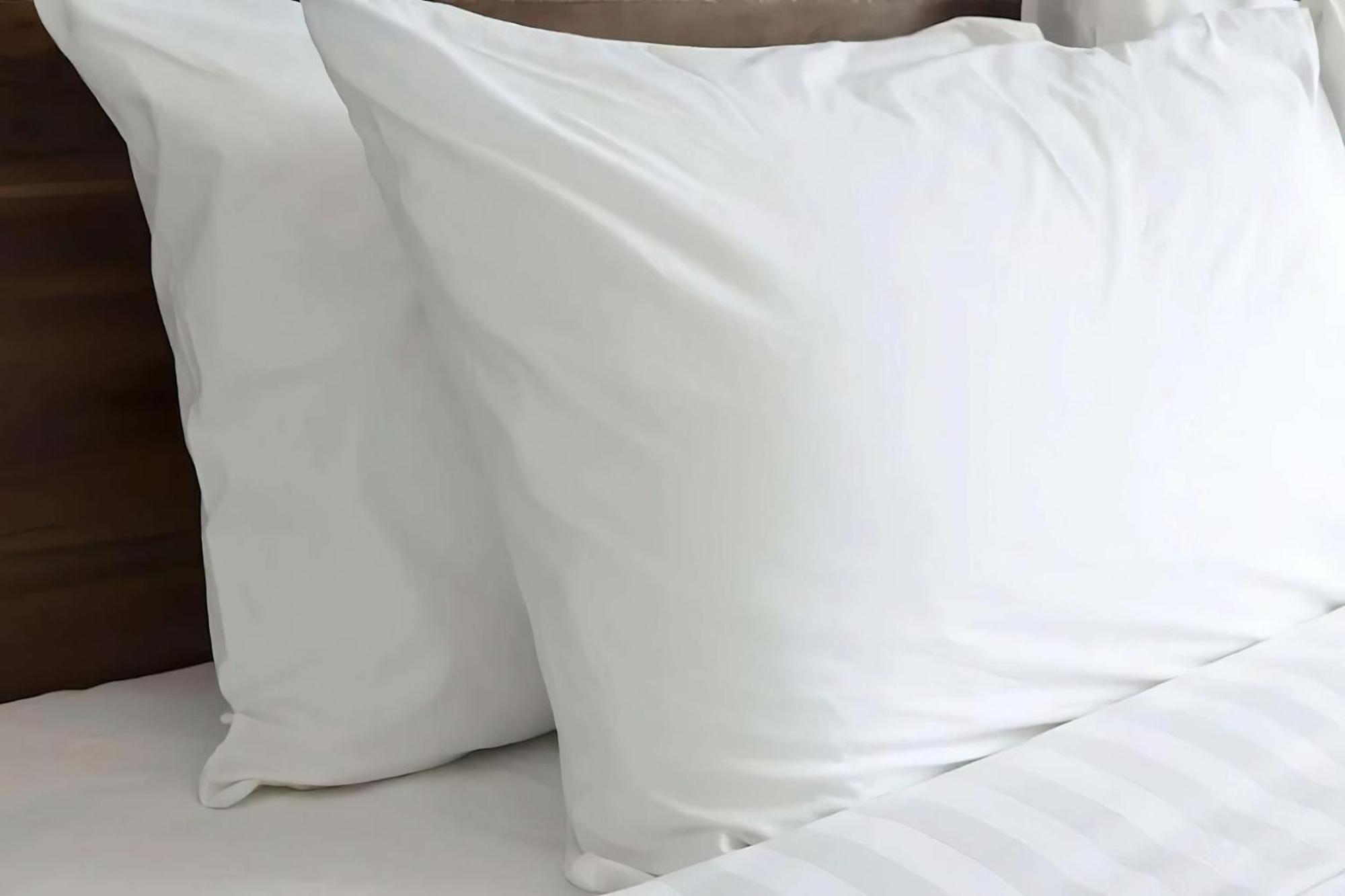 Sonesta Es Suites Raleigh ケーリー エクステリア 写真